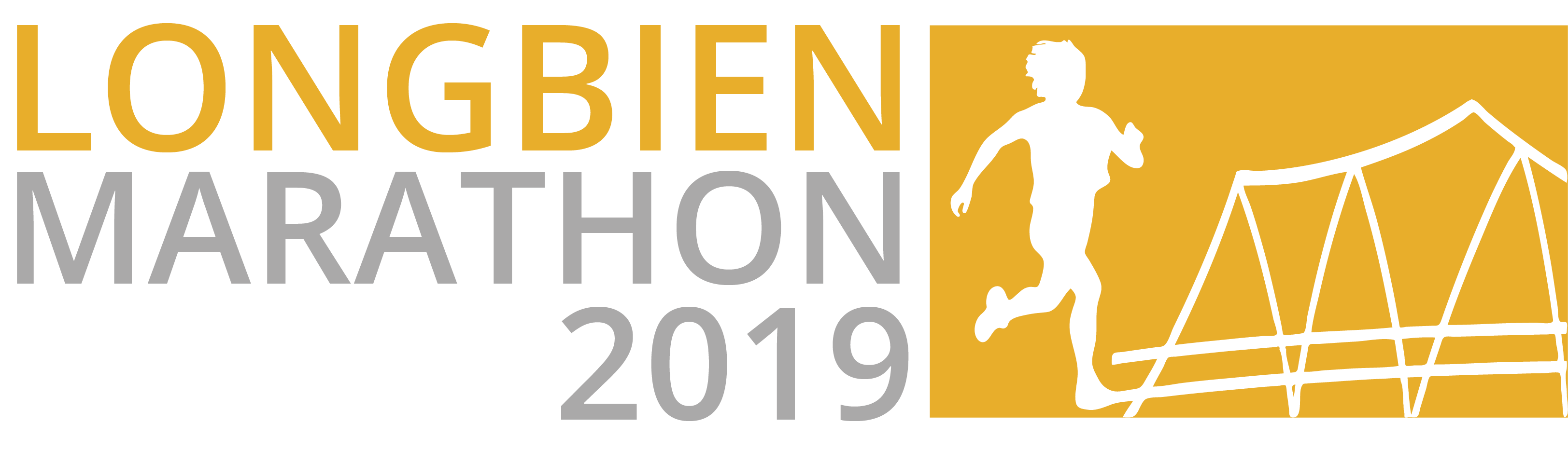 Longbien Marathon 2019