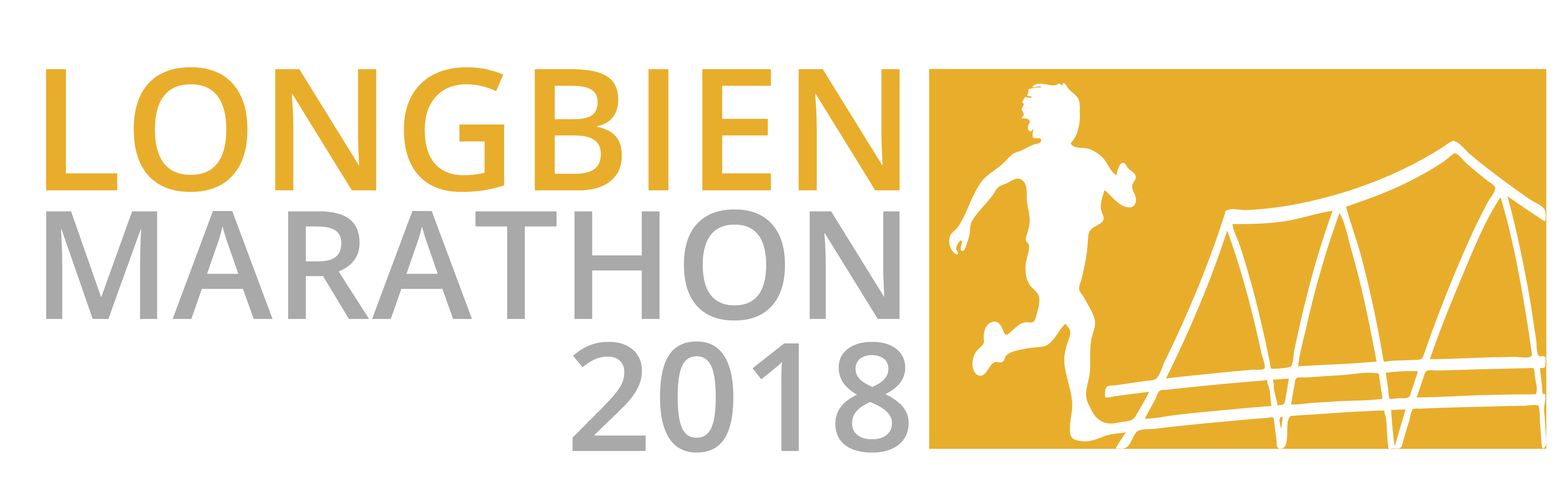 Longbien Marathon 2018