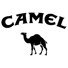 Camel girls