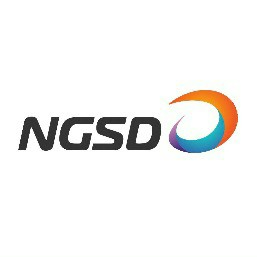 NGS Digital running team